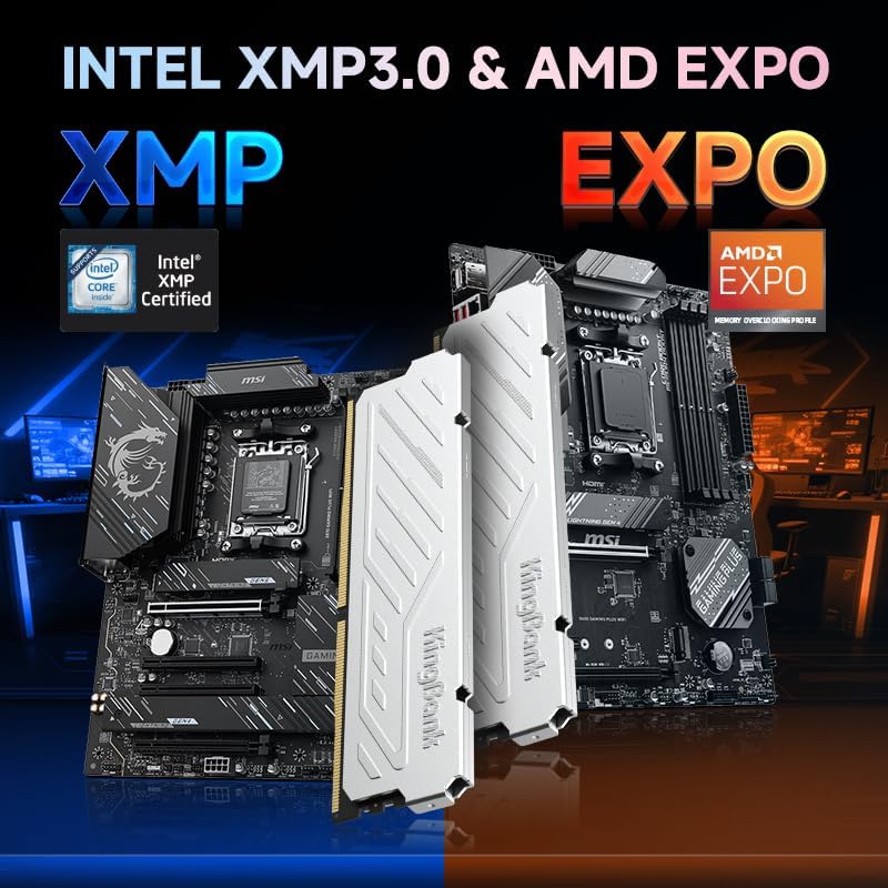 KingBank KJXS DDR5 RAM 8GB/16G - đánh giá và giá Ddr5 16Gb 6000Mhz