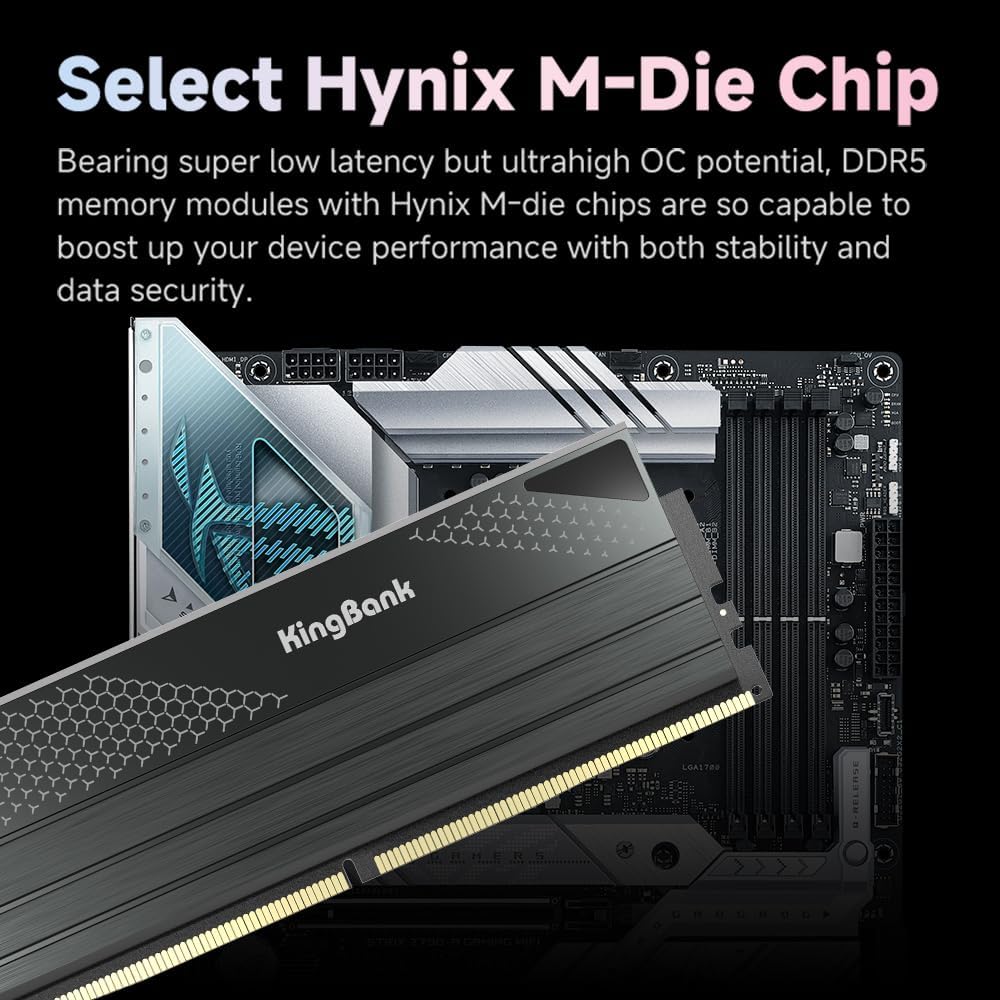 KingBank DDR5 KFXB Memory 48GB - đánh giá và giá Ddr5 16Gb 6000Mhz